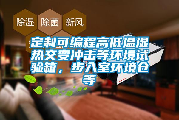 定制可編程高低溫濕熱交變沖擊等環(huán)境試驗箱，步入室環(huán)境倉等