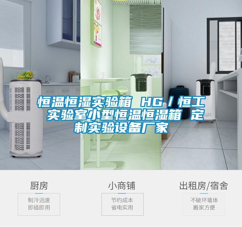 恒溫恒濕實驗箱 HG/恒工 實驗室小型恒溫恒濕箱 定制實驗設備廠家