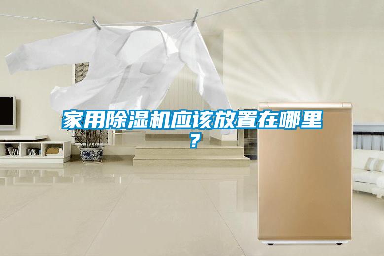 家用除濕機應該放置在哪里？